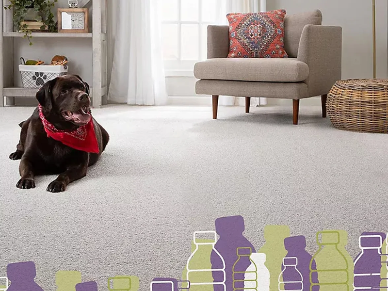 Mohawk PETPremier™ – inherently stain-resistant, beautiful PET carpet backed by our All Pet® warranty.